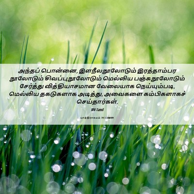 Picture 06 - யாத்திராகமம் 39:3 TAMIRV - அந்தப் பொன்னை, - Bible Verse Picture