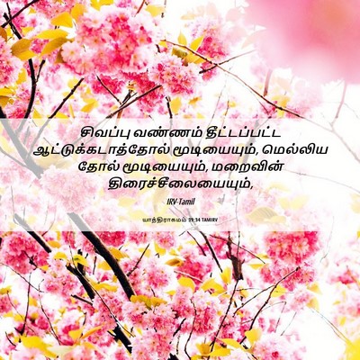 Picture 06 - யாத்திராகமம் 39:34 TAMIRV - சிவப்பு வண்ணம் - Bible Verse Picture