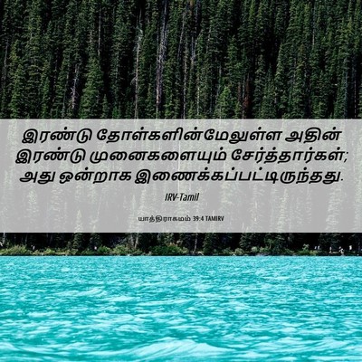 Picture 06 - யாத்திராகமம் 39:4 TAMIRV - இரண்டு - Bible Verse Picture