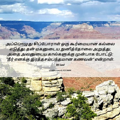 Picture 06 - யாத்திராகமம் 4:25 TAMIRV - அப்பொழுது - Bible Verse Picture