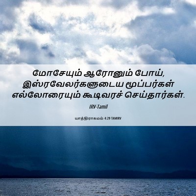 Picture 06 - யாத்திராகமம் 4:29 TAMIRV - மோசேயும் ஆரோனும் - Bible Verse Picture