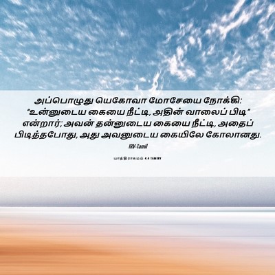 Picture 06 - யாத்திராகமம் 4:4 TAMIRV - அப்பொழுது யெகோவா - Bible Verse Picture