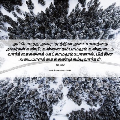 Picture 06 - யாத்திராகமம் 4:8 TAMIRV - அப்பொழுது அவர்: - Bible Verse Picture