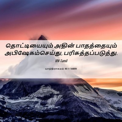 Picture 06 - யாத்திராகமம் 40:11 TAMIRV - தொட்டியையும் - Bible Verse Picture