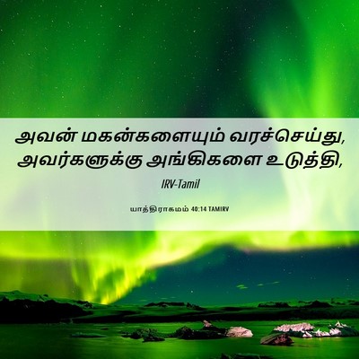 Picture 06 - யாத்திராகமம் 40:14 TAMIRV - அவன் மகன்களையும் - Bible Verse Picture