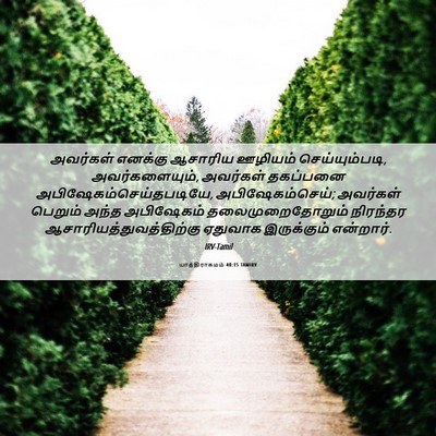 Picture 06 - யாத்திராகமம் 40:15 TAMIRV - அவர்கள் எனக்கு - Bible Verse Picture