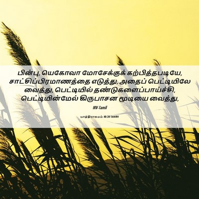 Picture 06 - யாத்திராகமம் 40:20 TAMIRV - பின்பு, யெகோவா - Bible Verse Picture