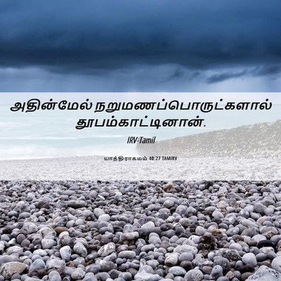 Picture 06 - யாத்திராகமம் 40:27 TAMIRV - அதின்மேல் - Bible Verse Picture