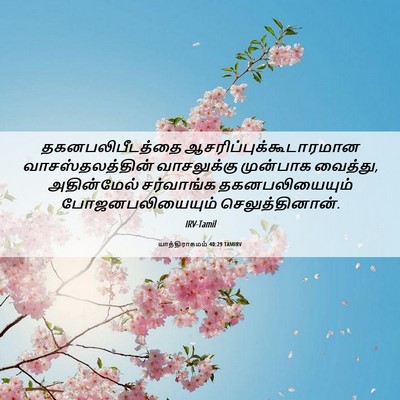 Picture 06 - யாத்திராகமம் 40:29 TAMIRV - தகனபலிபீடத்தை - Bible Verse Picture