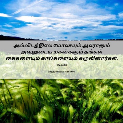 Picture 06 - யாத்திராகமம் 40:31 TAMIRV - அவ்விடத்திலே - Bible Verse Picture