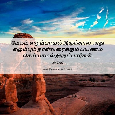 Picture 06 - யாத்திராகமம் 40:37 TAMIRV - மேகம் எழும்பாமல் - Bible Verse Picture