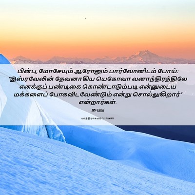 Picture 06 - யாத்திராகமம் 5:1 TAMIRV - பின்பு, மோசேயும் - Bible Verse Picture