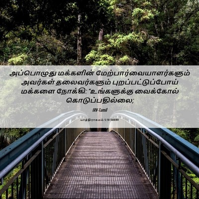 Picture 06 - யாத்திராகமம் 5:10 TAMIRV - அப்பொழுது - Bible Verse Picture