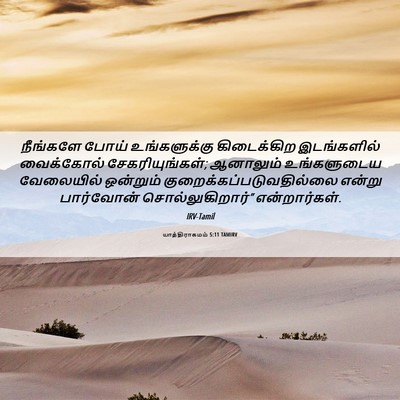 Picture 06 - யாத்திராகமம் 5:11 TAMIRV - நீங்களே போய் - Bible Verse Picture