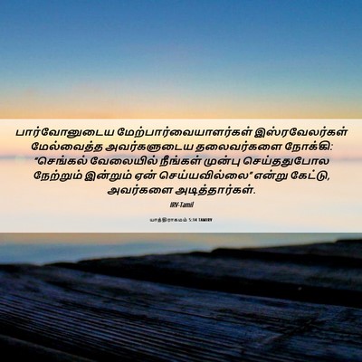 Picture 06 - யாத்திராகமம் 5:14 TAMIRV - பார்வோனுடைய - Bible Verse Picture