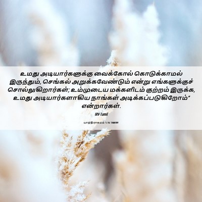 Picture 06 - யாத்திராகமம் 5:16 TAMIRV - உமது - Bible Verse Picture
