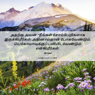 Picture 06 - யாத்திராகமம் 5:17 TAMIRV - அதற்கு அவன்: - Bible Verse Picture