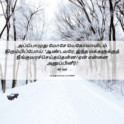 Picture 06 - யாத்திராகமம் 5:22 TAMIRV - அப்பொழுது மோசே - Bible Verse Picture