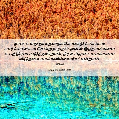 Picture 06 - யாத்திராகமம் 5:23 TAMIRV - நான் உமது - Bible Verse Picture