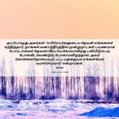 Picture 06 - யாத்திராகமம் 5:3 TAMIRV - அப்பொழுது - Bible Verse Picture