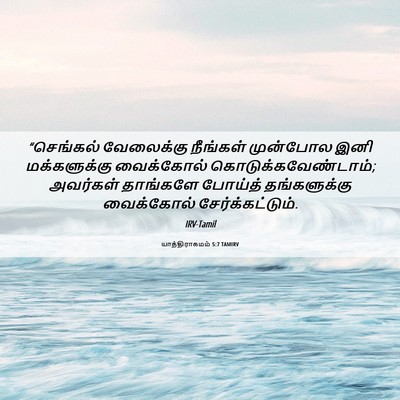 Picture 06 - யாத்திராகமம் 5:7 TAMIRV - “செங்கல் வேலைக்கு - Bible Verse Picture