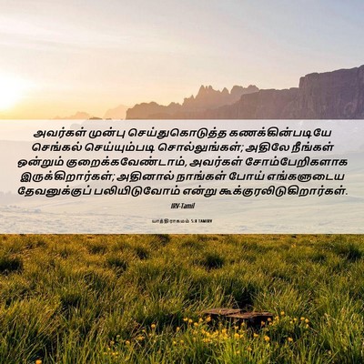 Picture 06 - யாத்திராகமம் 5:8 TAMIRV - அவர்கள் முன்பு - Bible Verse Picture
