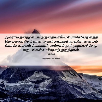 Picture 06 - யாத்திராகமம் 6:20 TAMIRV - அம்ராம் தன்னுடைய - Bible Verse Picture