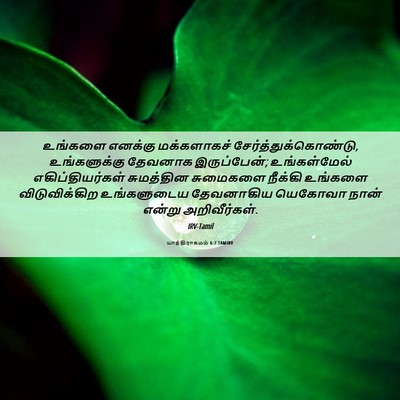 Picture 06 - யாத்திராகமம் 6:7 TAMIRV - உங்களை எனக்கு - Bible Verse Picture