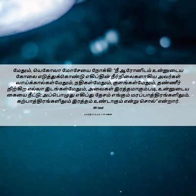 Picture 06 - யாத்திராகமம் 7:19 TAMIRV - மேலும், யெகோவா - Bible Verse Picture