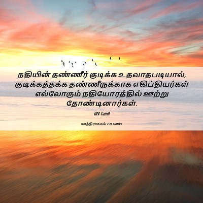 Picture 06 - யாத்திராகமம் 7:24 TAMIRV - நதியின் தண்ணீர் - Bible Verse Picture