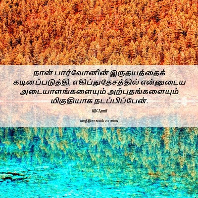 Picture 06 - யாத்திராகமம் 7:3 TAMIRV - நான் பார்வோனின் - Bible Verse Picture