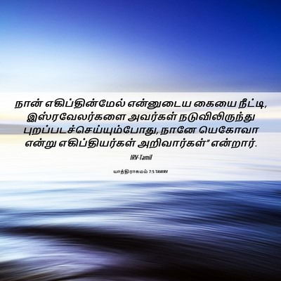 Picture 06 - யாத்திராகமம் 7:5 TAMIRV - நான் - Bible Verse Picture