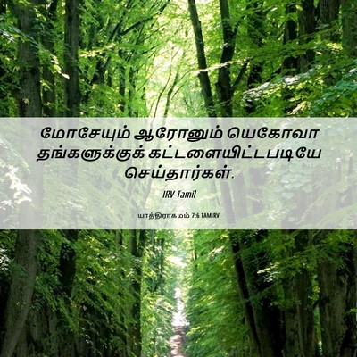 Picture 06 - யாத்திராகமம் 7:6 TAMIRV - மோசேயும் ஆரோனும் - Bible Verse Picture
