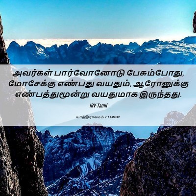 Picture 06 - யாத்திராகமம் 7:7 TAMIRV - அவர்கள் - Bible Verse Picture