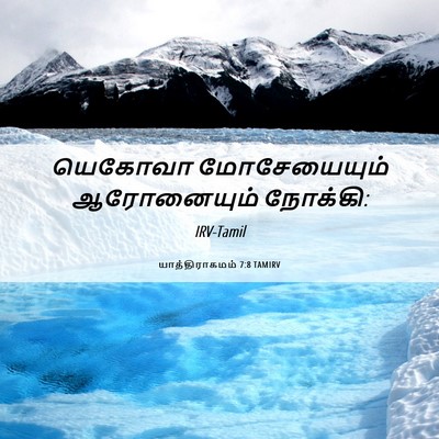 Picture 06 - யாத்திராகமம் 7:8 TAMIRV - யெகோவா மோசேயையும் - Bible Verse Picture