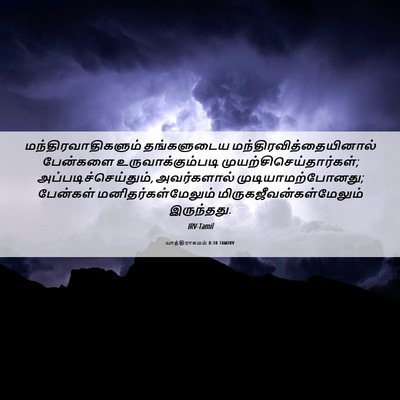 Picture 06 - யாத்திராகமம் 8:18 TAMIRV - மந்திரவாதிகளும் - Bible Verse Picture