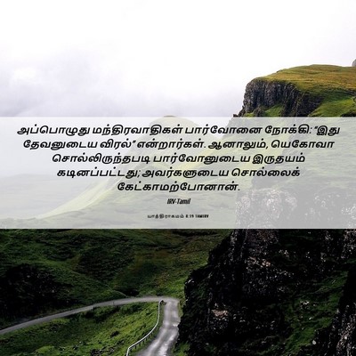 Picture 06 - யாத்திராகமம் 8:19 TAMIRV - அப்பொழுது - Bible Verse Picture