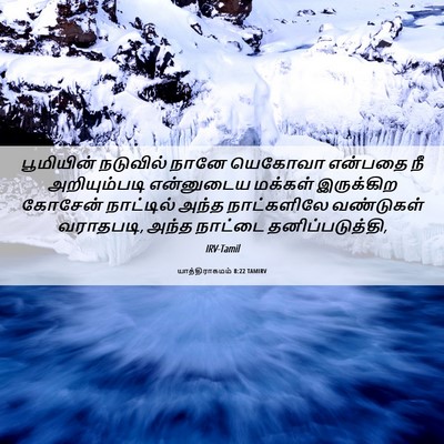 Picture 06 - யாத்திராகமம் 8:22 TAMIRV - பூமியின் நடுவில் - Bible Verse Picture