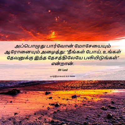 Picture 06 - யாத்திராகமம் 8:25 TAMIRV - அப்பொழுது - Bible Verse Picture