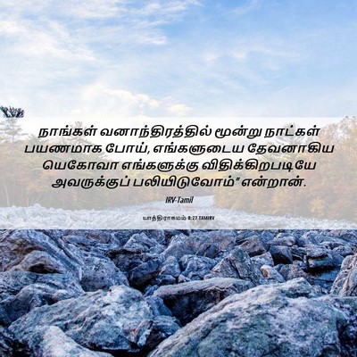 Picture 06 - யாத்திராகமம் 8:27 TAMIRV - நாங்கள் - Bible Verse Picture