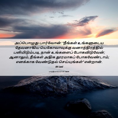Picture 06 - யாத்திராகமம் 8:28 TAMIRV - அப்பொழுது - Bible Verse Picture