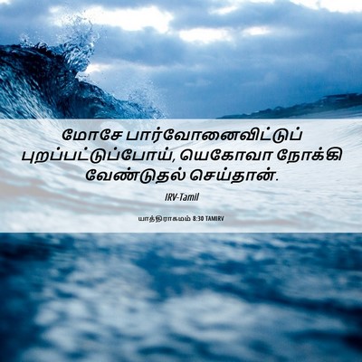 Picture 06 - யாத்திராகமம் 8:30 TAMIRV - மோசே - Bible Verse Picture