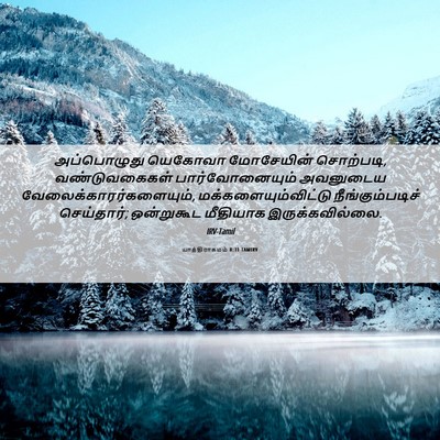 Picture 06 - யாத்திராகமம் 8:31 TAMIRV - அப்பொழுது யெகோவா - Bible Verse Picture