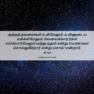 Picture 06 - யாத்திராகமம் 8:4 TAMIRV - அந்தத் தவளைகள் - Bible Verse Picture