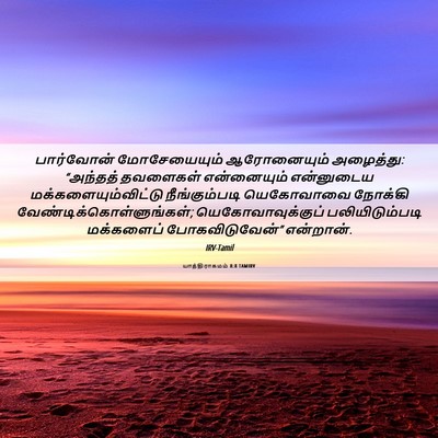 Picture 06 - யாத்திராகமம் 8:8 TAMIRV - பார்வோன் - Bible Verse Picture