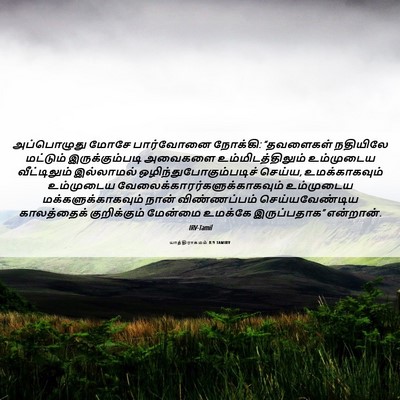 Picture 06 - யாத்திராகமம் 8:9 TAMIRV - அப்பொழுது மோசே - Bible Verse Picture