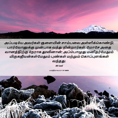 Picture 06 - யாத்திராகமம் 9:10 TAMIRV - அப்படியே அவர்கள் - Bible Verse Picture