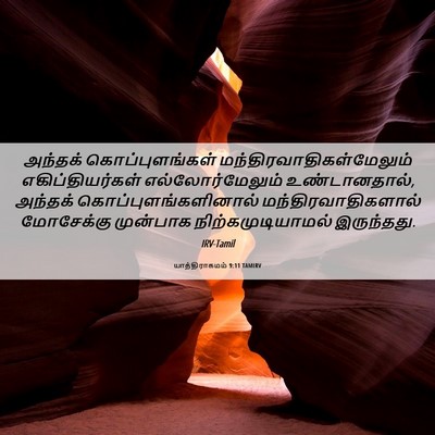 Picture 06 - யாத்திராகமம் 9:11 TAMIRV - அந்தக் - Bible Verse Picture