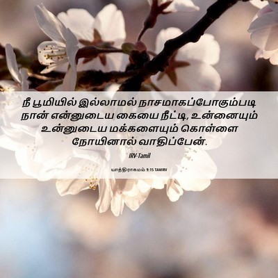 Picture 06 - யாத்திராகமம் 9:15 TAMIRV - நீ பூமியில் - Bible Verse Picture