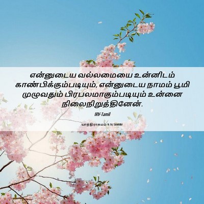 Picture 06 - யாத்திராகமம் 9:16 TAMIRV - என்னுடைய வல்லமையை - Bible Verse Picture